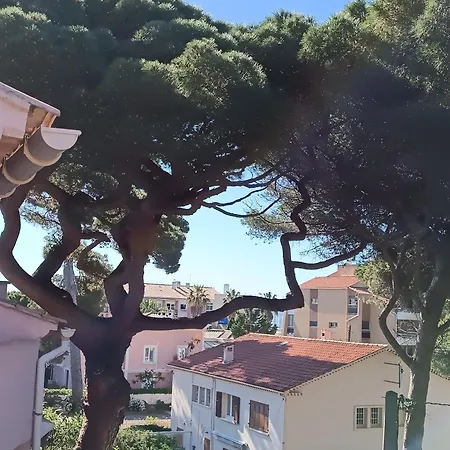 Appart Au Calme, Climatise, Avec Parking, 2 Pas Des Plages, Le Port * Hyeres