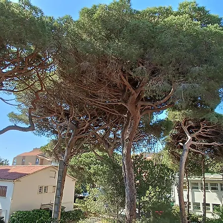 Au Calme, Climatise, Avec Parking, 2 Pas Des Plages, Le Port アパート