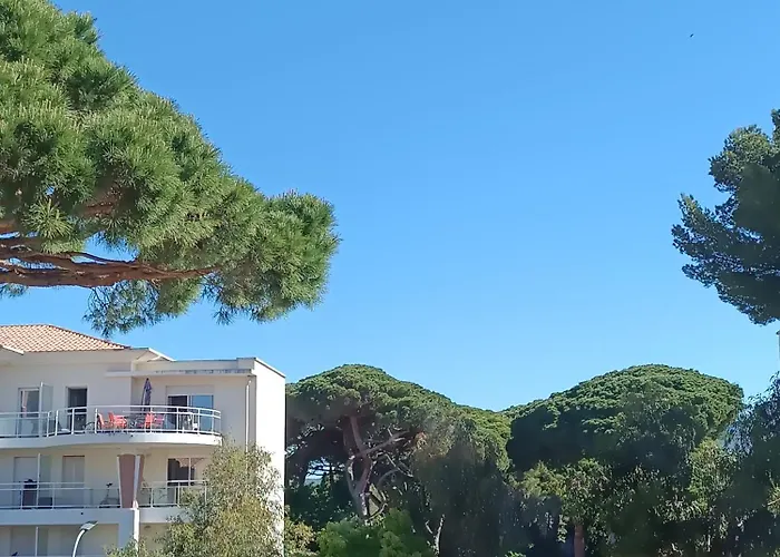 Au Calme, Climatise, Avec Parking, 2 Pas Des Plages, Le Port *