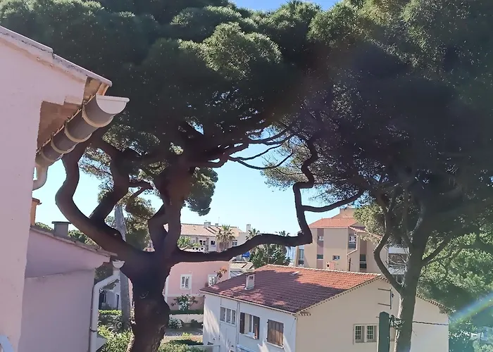 Au Calme, Climatise, Avec Parking, 2 Pas Des Plages, Le Port * イエール