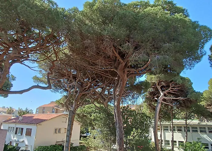 Au Calme, Climatise, Avec Parking, 2 Pas Des Plages, Le Port アパート